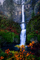 Water and reds - Oregon