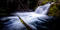 The Forest waterfall - Oregon