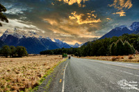 Kiwi Prairie - South Island, New Zealand