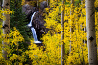 Water and Yellow - Colorado