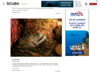 Scuba Diving Magazine I
