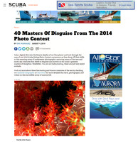 scuba diving 3.2