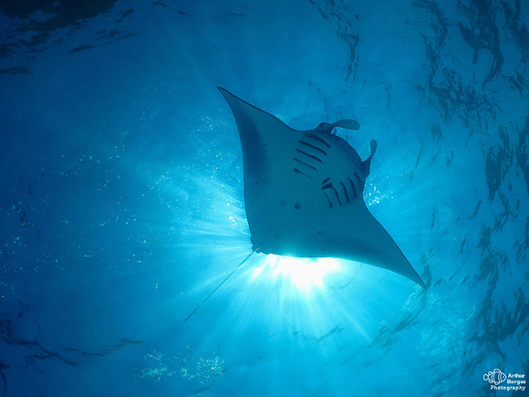 Ray and the Sun